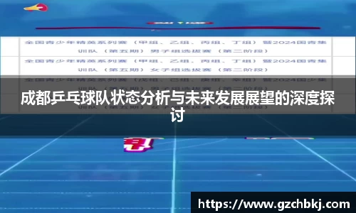成都乒乓球队状态分析与未来发展展望的深度探讨
