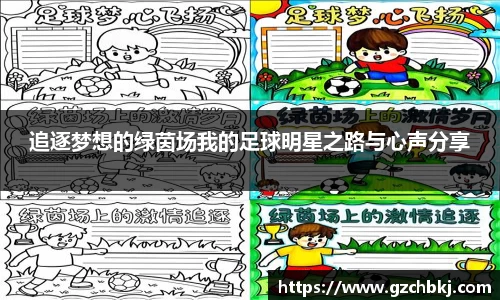 追逐梦想的绿茵场我的足球明星之路与心声分享
